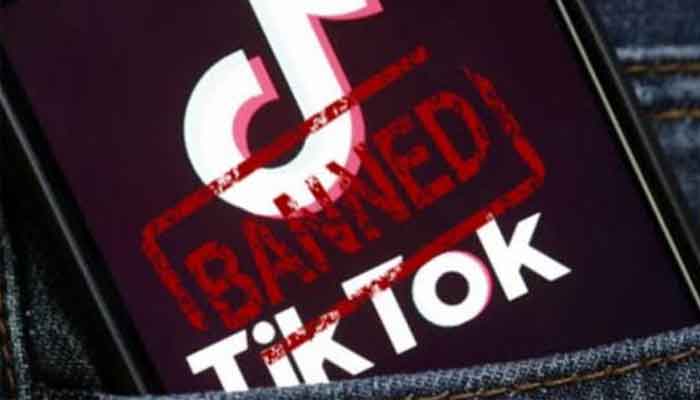 Pta Banned Tiktok In Pakistan Over Immoral And Indecent Content