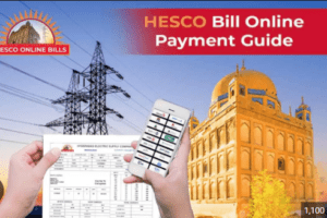 HESCO bill information